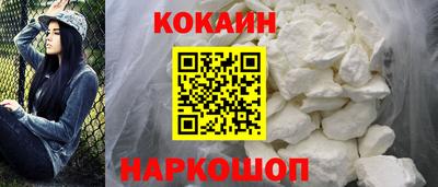 прущие крисы Гатчина