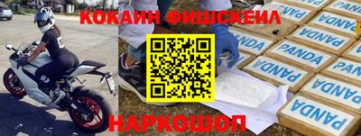 ешки Гай