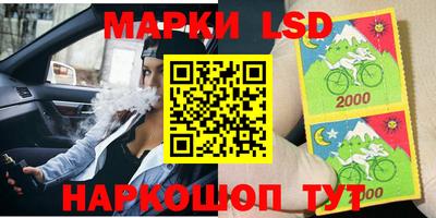 ешки Гай