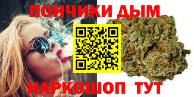 гидра Гагарин