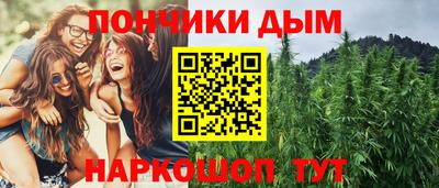 гидра Гагарин
