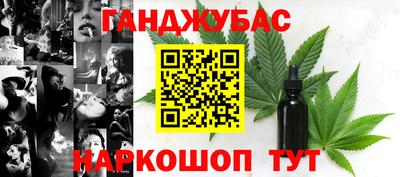 гидра Гагарин