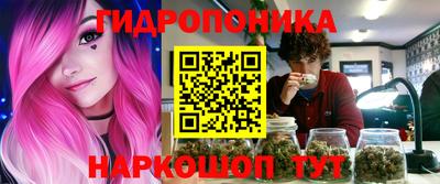 ешки Гай