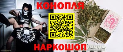гидра Гагарин