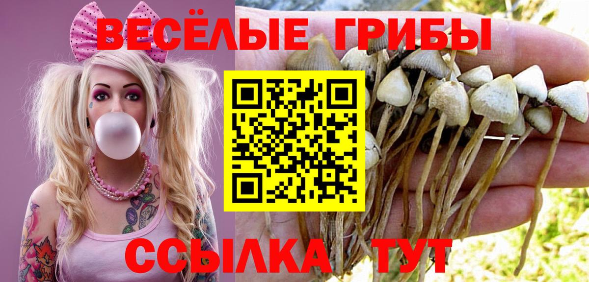 Псилоцибиновые грибы Psilocybine cubensis  Вход с VPN  Галлюциногенные грибы Psilocybe  Нижневартовск 