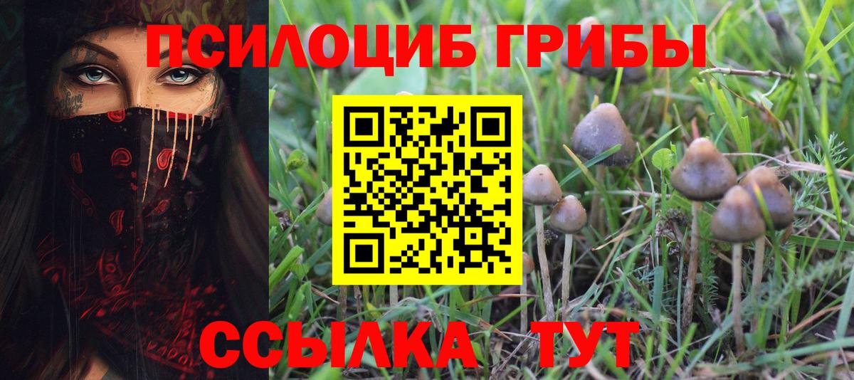 Псилоцибиновые грибы Cubensis Нижневартовск